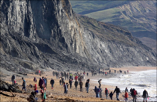 英国侏罗纪海岸发现鱼龙化石引来无数寻宝者