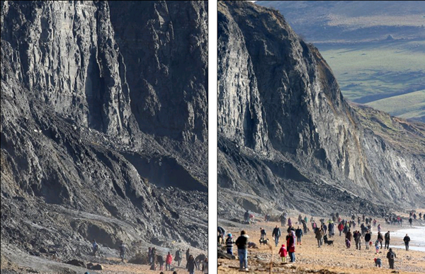 英国侏罗纪海岸发现鱼龙化石引来无数寻宝者