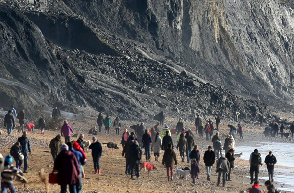 英国侏罗纪海岸发现鱼龙化石引来无数寻宝者