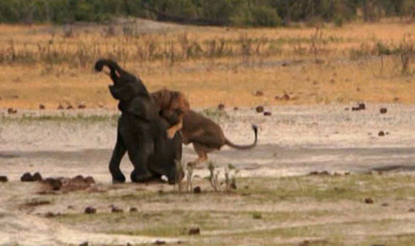 ��Ͳ�Τ������ҹ�԰��·С��ʨ��Χ��