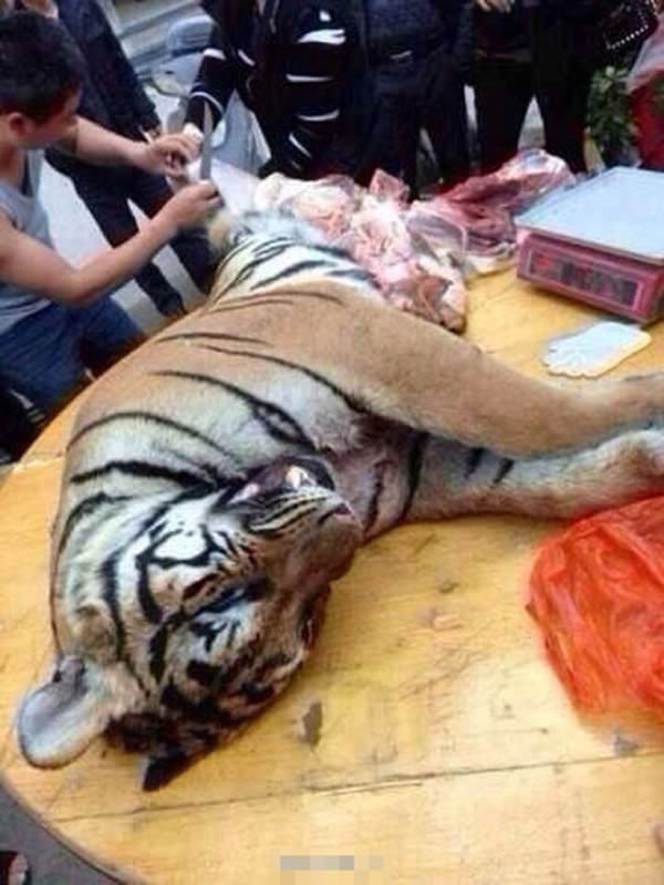 ������ɱ�ϻ���