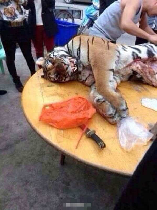 ������ɱ�ϻ���