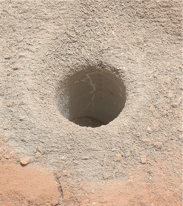 ���Ǳ���