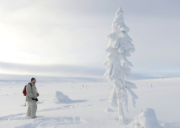 ���ɽ����������������ϵ���ľ 9500����������