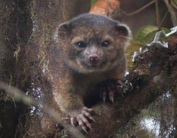 С������ܵķ���֮��