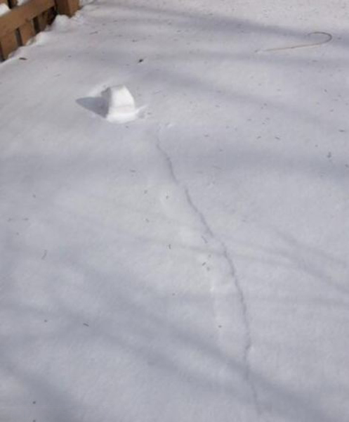 ���������������������Ȼ���󡪡���ѩ����