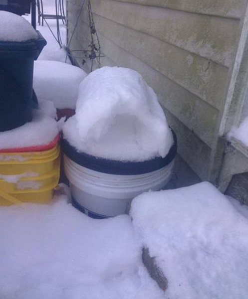 ���������������������Ȼ���󡪡���ѩ����