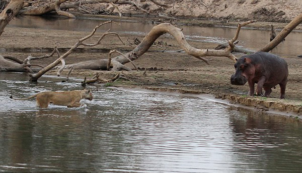 �ޱ���¬���Ϲ��ҹ�԰ʨ���������·��Ķ���