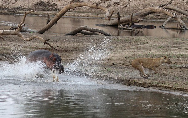 �ޱ���¬���Ϲ��ҹ�԰ʨ���������·��Ķ���