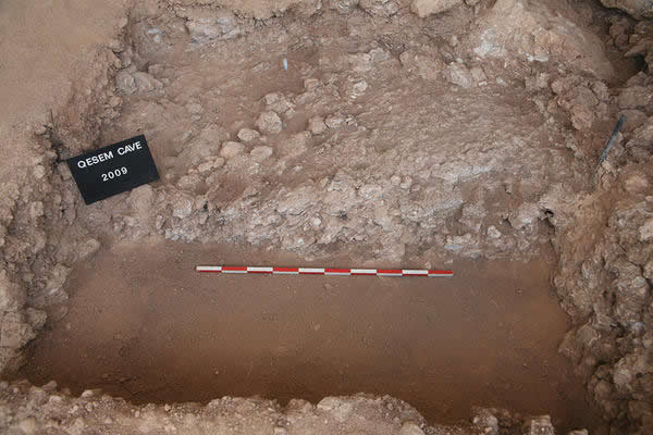 以色列洞穴中发现30万年前的古壁炉