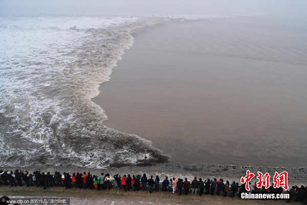 �㽭�����������������һ��Ǯ������