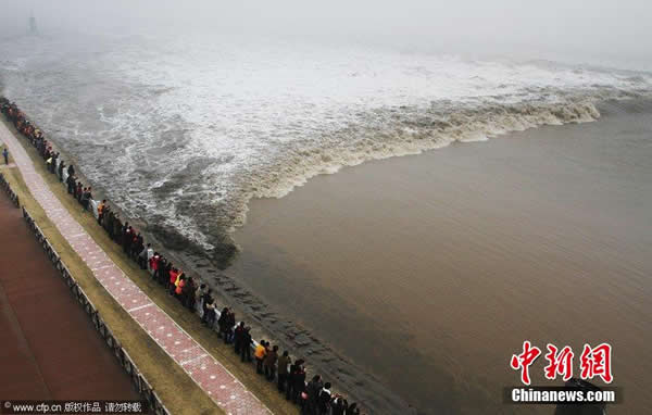 �㽭�����������������һ��Ǯ������