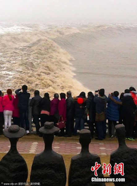 �㽭�����������������һ��Ǯ������