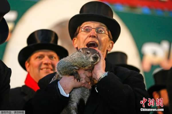 当地时间2014年2月2日,美国宾夕法尼亚州旁苏托尼镇,在第128届土拨鼠日,数千人聚集于此,见证当地最著名的天气预测土拨鼠“费尔”公布天气预测结果:冬季还有6