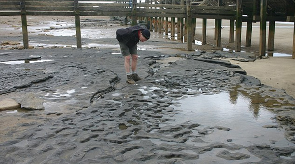 英国东海岸发现80万年前人类足迹化石