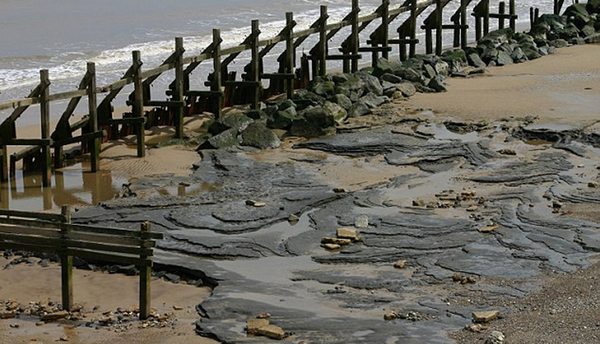 英国东海岸发现80万年前人类足迹化石