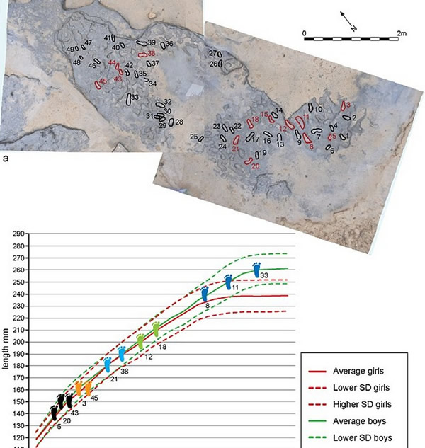 英国东海岸发现80万年前人类足迹化石