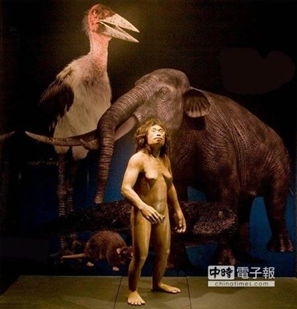 ���������Ƕ����������ֶ����ǻ����ִ���