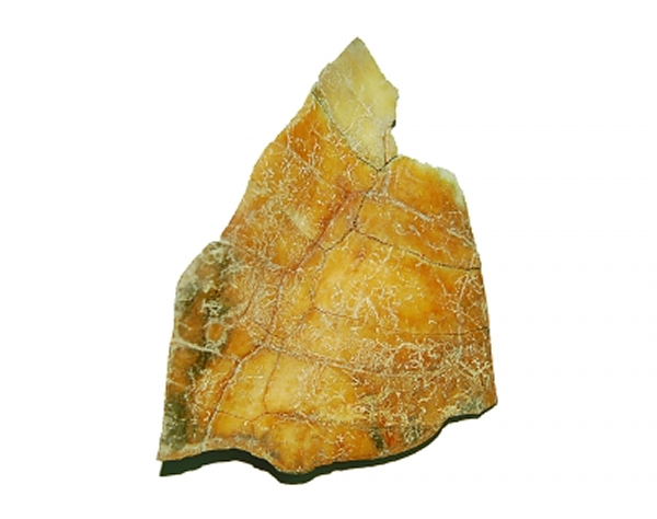 ��ԭ��ַ�����ļ׹�