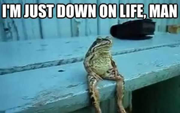 Ӣ�����ӳƱ����ܸ��ٱ�������