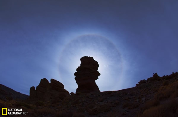 ������ѵ�������