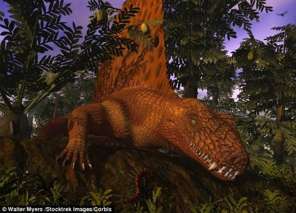 最研究表明陆地上第一批捕食者异齿龙可能长有牛排刀一样的牙齿