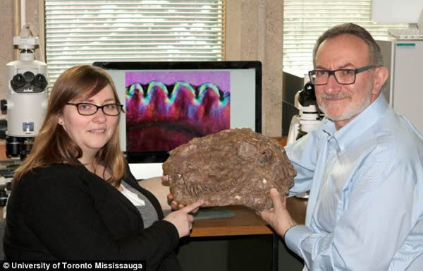 罗伯特·雷斯兹和克里斯汀·布林克拿着一个异齿龙头骨。