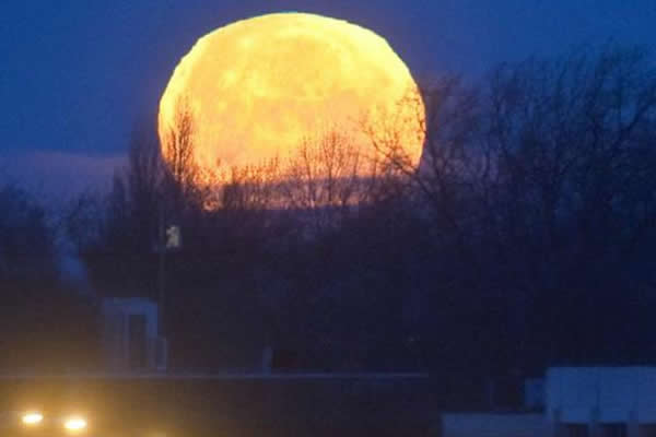 调查显示相信占星学人数在受访者中占据了相当的比例,也有近四分之一的美国人不知地球是绕太阳公转