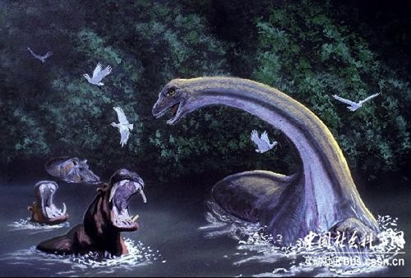 Mokele-mbembeͼ