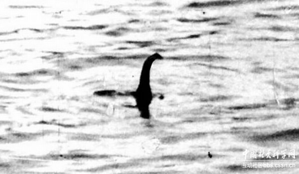 威尔逊拍下的尼斯湖水怪照片