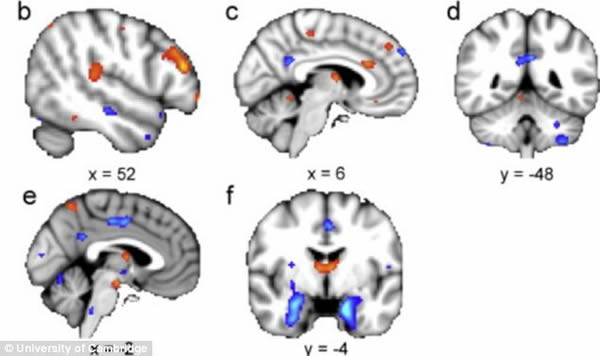 ֤ʵ���Դ��Ա�Ů�Ը���