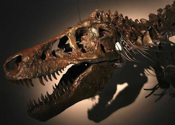 Ƿ1990İʯǵΪԴСײ