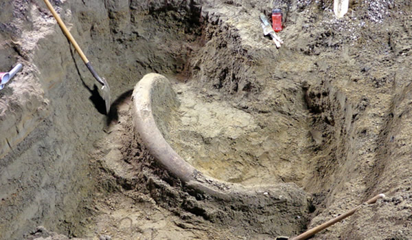 ��������2.6�ף��������������Ϊ����һ�����ӻ�ֲ�������