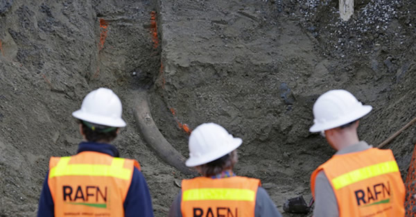 ����ͼ���Ѿ���η�������������