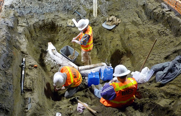 ���˲��������25�����ﻯʯ��