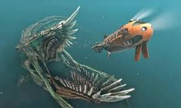 ����˹������١�̽�����ڱ��������������ͺ���