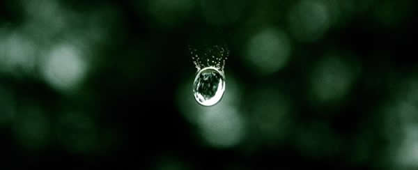 美国宇航局科学家发现雨滴的形状更像汉堡包