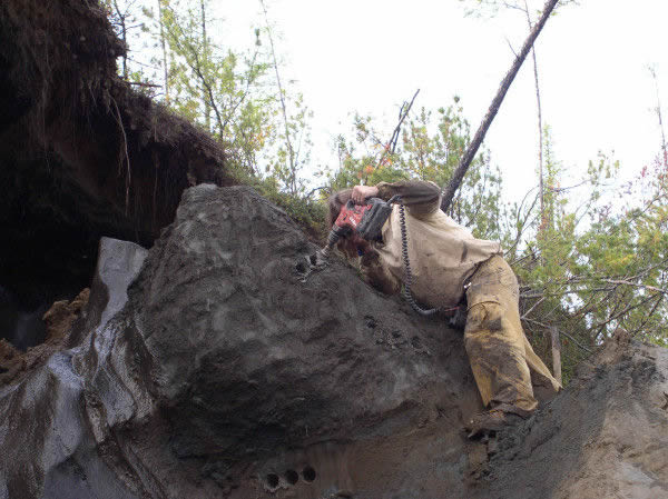 从永久冻土里获得植物样本
