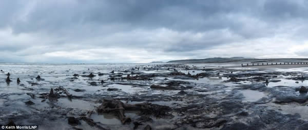 Ӣ���籩��������γ�5000��ǰɭ��