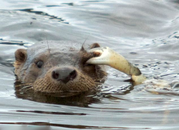 Ų��ˮ̡Ϯ���з����ǯס�۾�