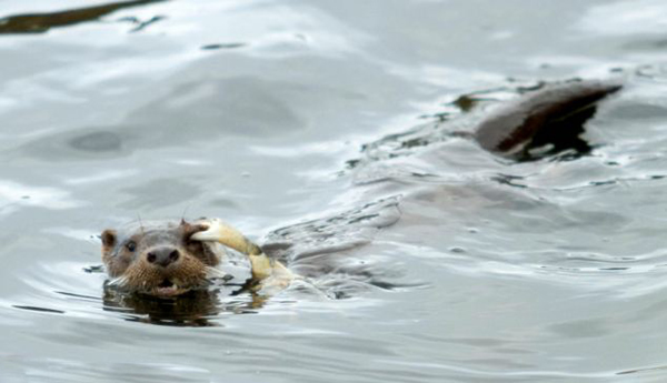 Ų��ˮ̡Ϯ���з����ǯס�۾�