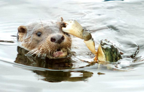 Ų��ˮ̡Ϯ���з����ǯס�۾�