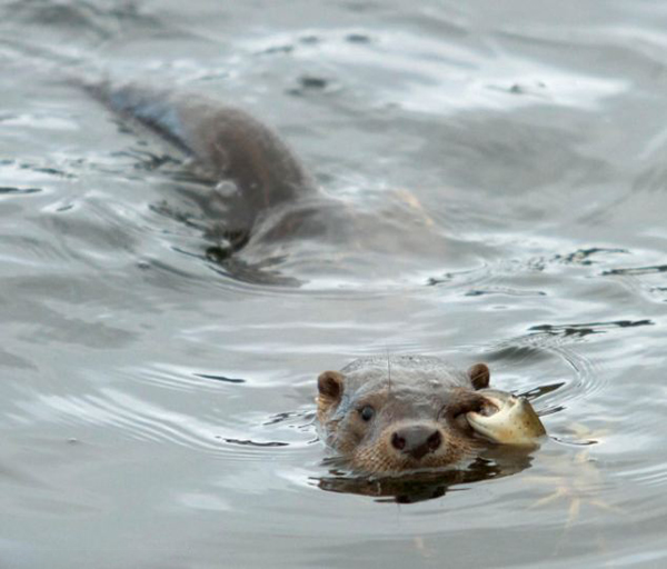 Ų��ˮ̡Ϯ���з����ǯס�۾�