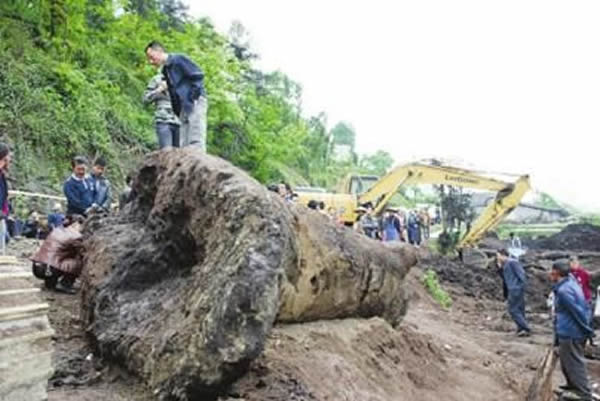 ��ľ��Ѱ���ˡ�