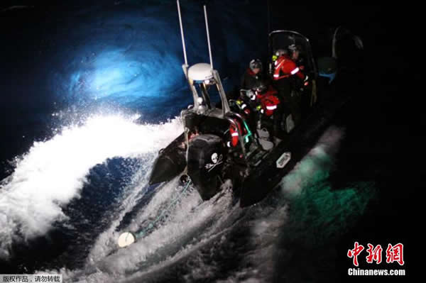 日本捕鲸船在南极遭反捕鲸团体抗议