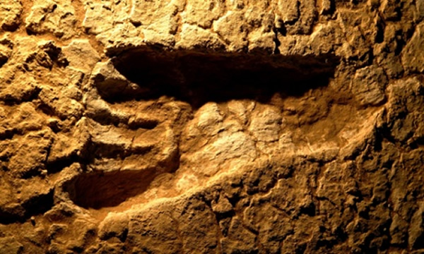 蒙哥国家公园内的古人类足迹化石