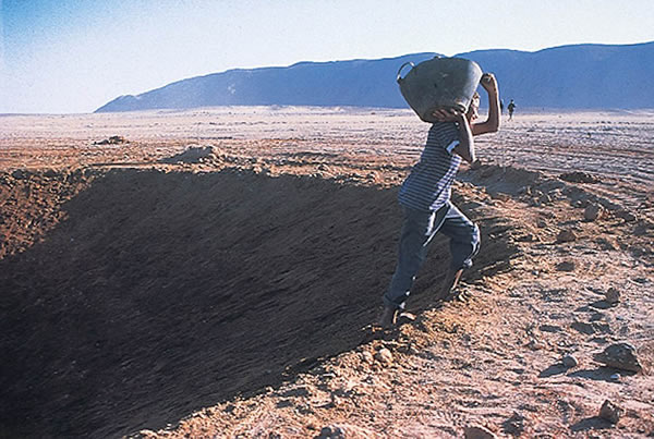 埃及沙漠神秘环境艺术品