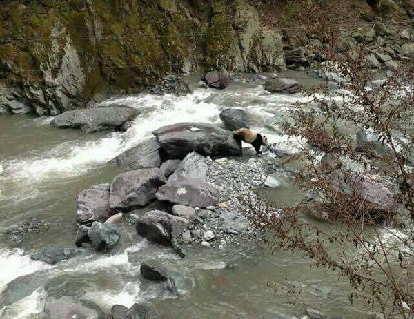 �����ڻ�Ϥ���º󣬵�һʱ�����ˮ����Ȼ������ȡ����ϵ������7�㣬������Ұ�����ﱣ������ʦΤ�ǳƣ���Ŀǰ����δ�ӵ����֪ͨ������нӵ����棬���Ƕ����һʱ�������