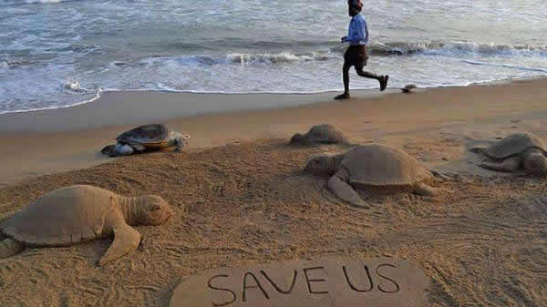 印度海滩现900余只死海龟,或为拖网渔船非法捕捞所致。艺术家留下了“救救我们”字样。