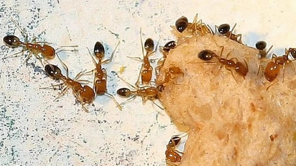 ���Ľ��һ��С�����ϰ�Χ